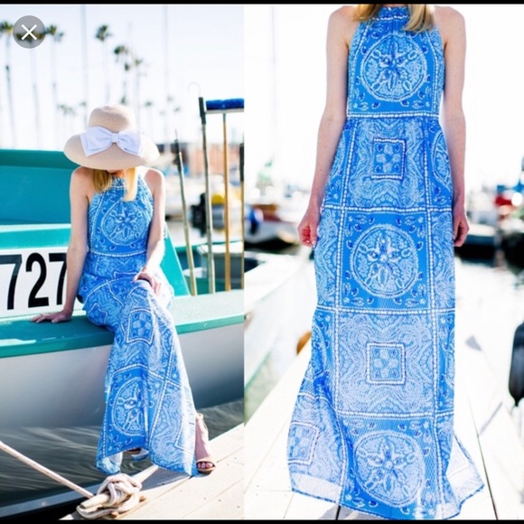 Vineyard Vines Dresses & Skirts - NWT Vineyard Vines Size 2 Sanddollar Maxi Dress